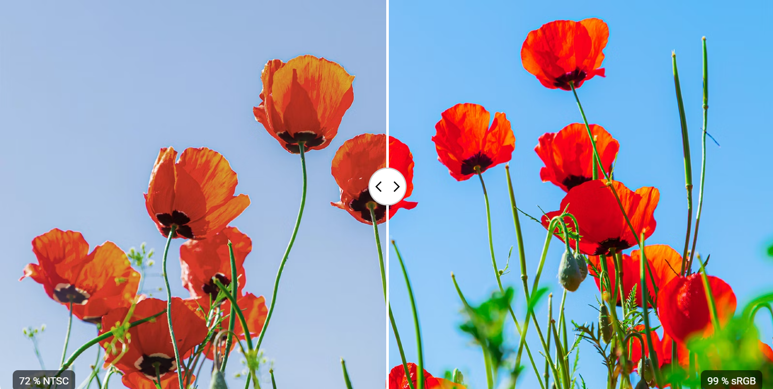 Flores partidas a la mitad una mas clara que otra